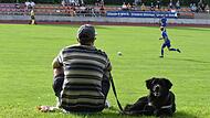 Der Vierbeiner im Kissinger Sportpark scheint kein Interesse am Derby des FC 06 gegen M&uuml;nnerstadt zu haben.