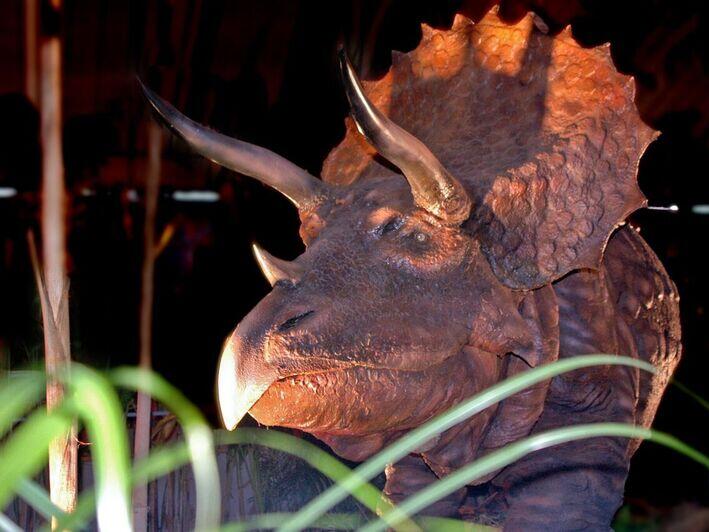 Dinosaurer kommen nach Forchheim