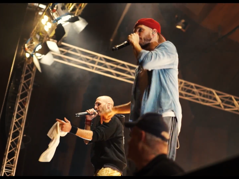 Wie hier 2017 kommen die Br&uuml;der Mal &Eacute;lev&eacute; (links) und Carlito von Irie R&eacute;volt&eacute;s am 6. Oktober noch einmal nach Erlangen - diesmal werden sie sogar in der gr&ouml;&szlig;eren Heinrich-Lades-Halle spielen.