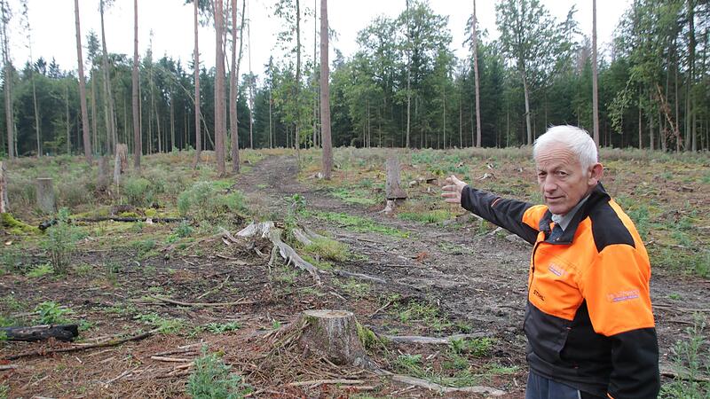 Bernd Hofmann in seinem leerger&auml;umten Waldst&uuml;ck bei Unterneuses. &bdquo;Im Fr&uuml;hjahr war der Wald noch gestanden&ldquo;, sagt er. Trockenheit und Borkenk&auml;ferbefall hatten die rund 50-j&auml;hrigen Fichtenkulturen stark gesch&auml;digt, so dass Hofmann sie schweren Herzens mit dem Harvester ernten lie&szlig;.