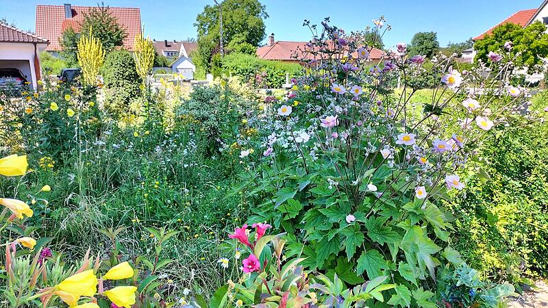 Der Vorgarten von Resi und Ludwig Alin am Schützenweg in Bad Staffelstein ist jeden Somer ein wahres Blütenmeer.