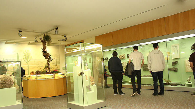 Bildergalerie zur Museumsnacht20. Museumsnacht in Coburg
