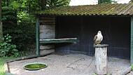 Die Tierschutzorganisation Peta hat Strafanzeige gegen die ehemalige Falknerei in Tambach erstattet, weil das Anbinden der Greifvögel im Wildpark nicht artgerecht gewesen sein soll.