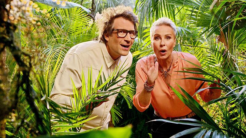 RTL-Dschungelcamp RTL-Dschungelcamp