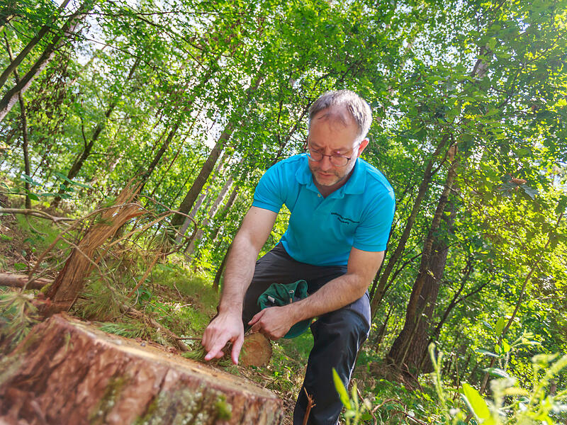 Holzheizen Landkreis ForchheimForchheim & Fränkische Schweiz Matthias Koch, Geschäftsführer Waldbesitzervereinigung Kreuzberg, klärt über den Zustand heimischer Wälder auf. Sein Fazit: Noch gut, aber pflegebedürftig.