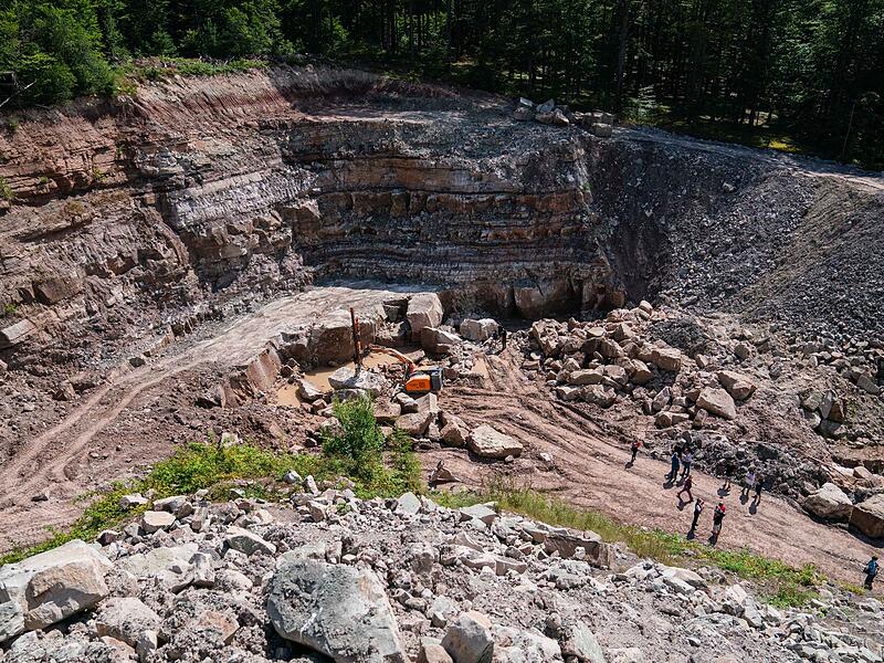 Unterkiefer eines 230 Millionen Jahren alten Sauriers entdeckt