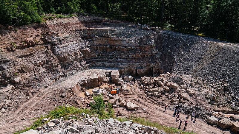 Unterkiefer eines 230 Millionen Jahren alten Sauriers entdeckt