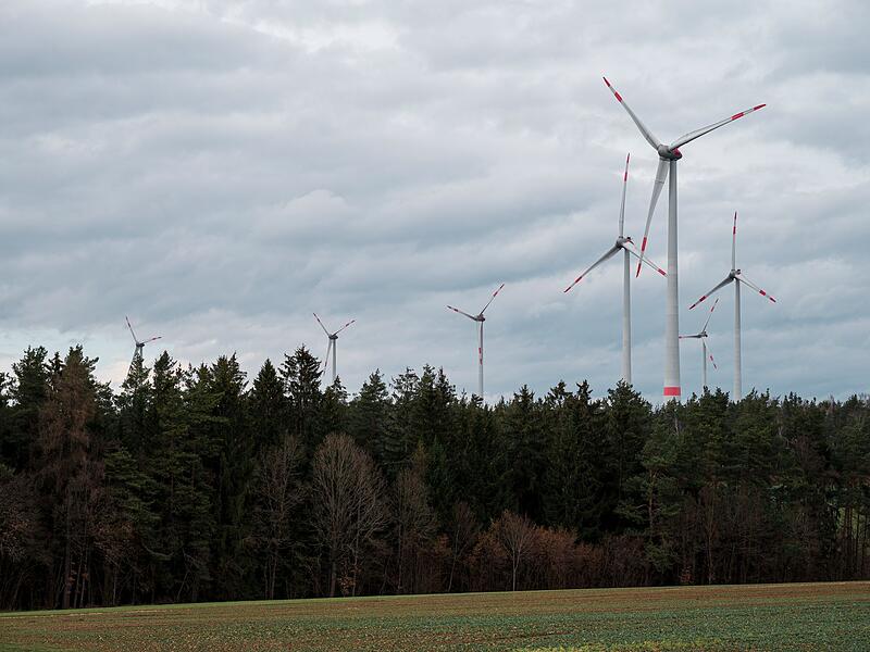 Windkraftanlagen im Lindenhardter Forst