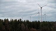 Windkraftanlagen im Lindenhardter Forst Windkraftanlagen im Lindenhardter Forst