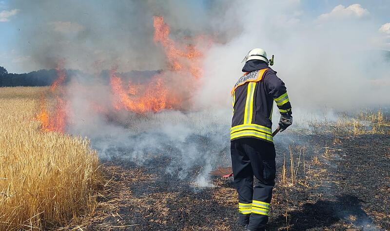 Das Feuer auf einem Feld in Melkendorf zerstörte die Ernte im Wert von 16.000 Euro. Das Feuer auf einem Feld in Melkendorf zerstörte die Ernte im Wert von 16.000 Euro.