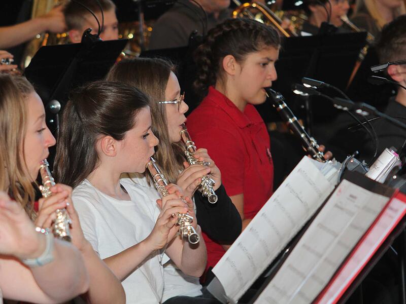 Konzert in Meeder: Mitrei&szlig;ende Blasmusik und der Wei&szlig;e Hai