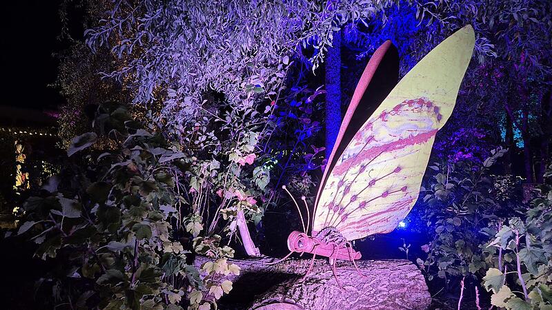 Teuschnitz: Kr&auml;utergarten leuchtetDer Kr&auml;utergarten Teuschnitz wird zum Lichtermeer