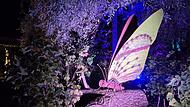 Teuschnitz: Kr&auml;utergarten leuchtetDer Kr&auml;utergarten Teuschnitz wird zum Lichtermeer