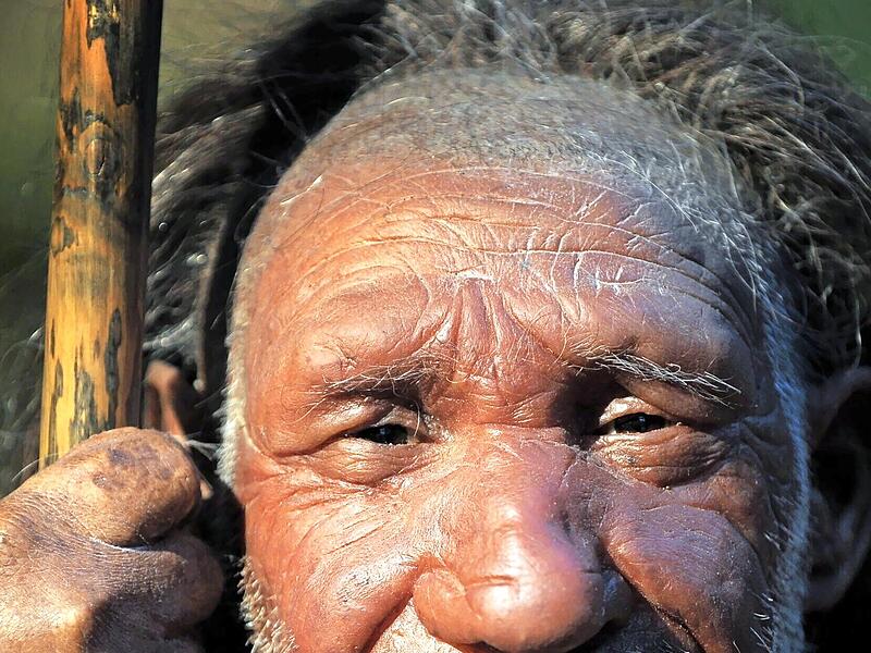 Eine Nachbildung eines &auml;lteren Neandertalers steht im Neanderthal-Museum in Mettmann.