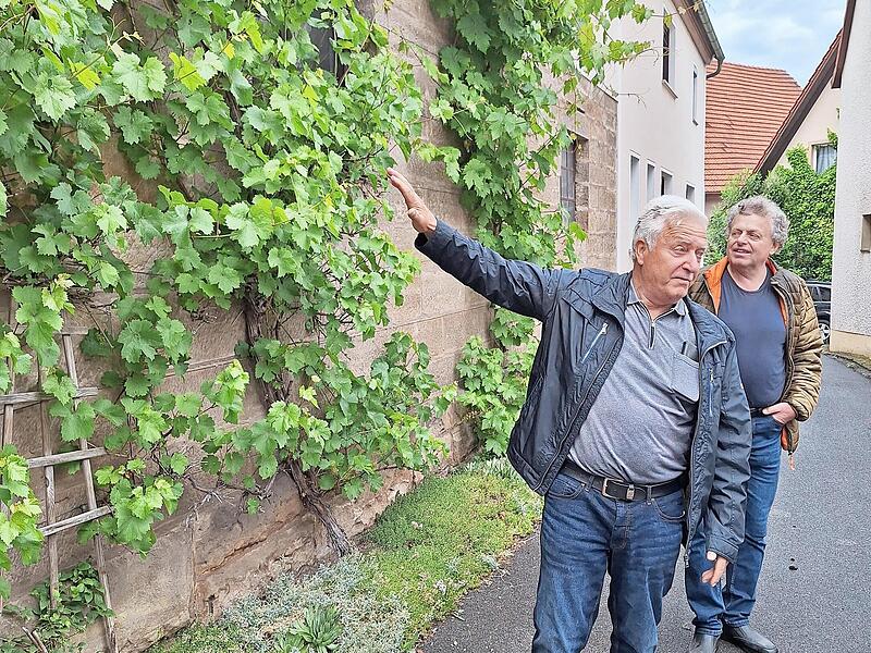Bei seiner Dorff&uuml;hrung zeigt Willi Pecht die fruchtbare Seite Brambergs.