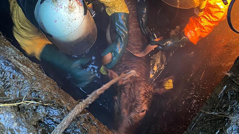 Rund 90 Minuten dauerte der Feuerwehreinsatz.