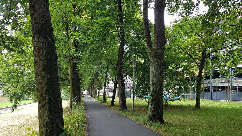 Toter in Bayreuth
