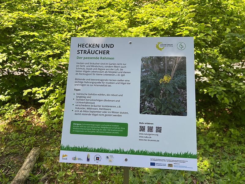 Zeigen, wie leicht Naturschutz sein kann: Contakt-Garten in Coburg eröffnet