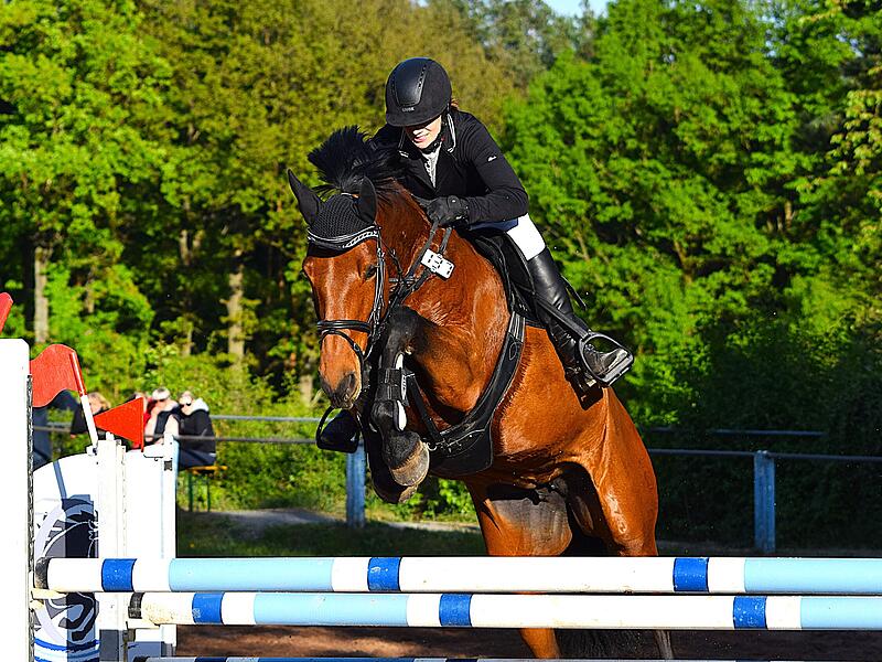 Spannende Springpr&uuml;fungen stehen unter anderem beim Reitturnier im Burgkunstadter Stadtteil Theisau vom Freitag bis Sonntag auf dem Programm.