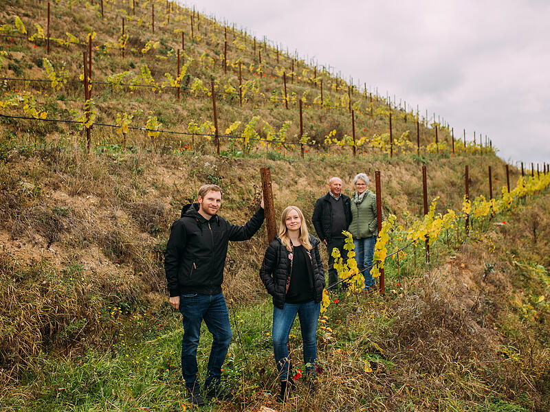 Weingut Neder