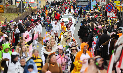 Bunt und fr&ouml;hlich: Der Faschingsumzug zog am Samstag durch Heroldsbach.
