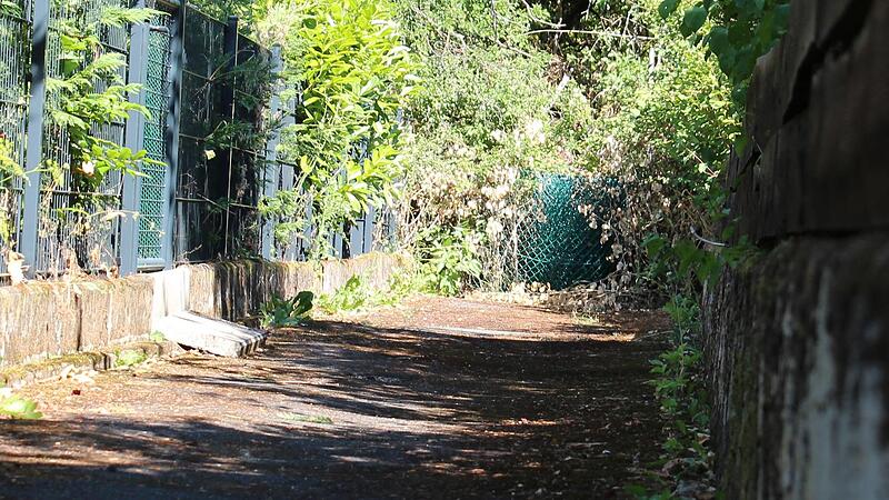 &Uuml;ber diesen Weg sind  fr&uuml;her Anwohner des G&auml;nsbergs ins Gr&uuml;n gelangt. Nun versperren ein Maschendrahtzaun und eine dichte Hecke den Durchgang.  Der Weg geh&ouml;rt der Gemeinde.  Hinter den Str&auml;uchern befindet sich Privatgrund. Der Zaun wurde vom Eigen...