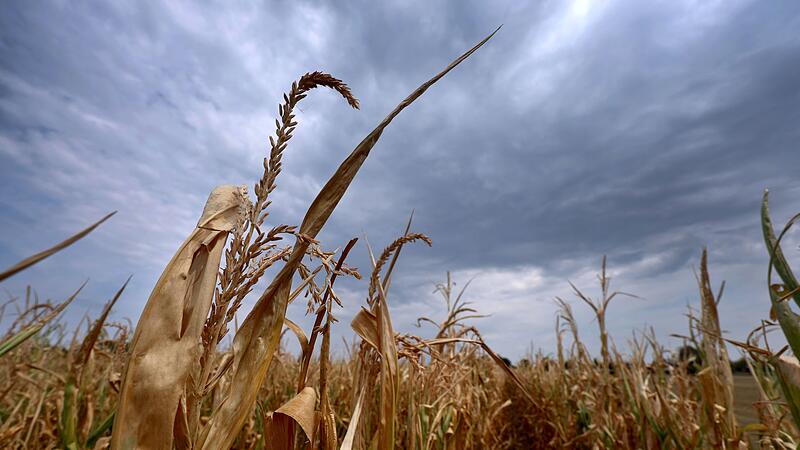 Wetter in Bayern