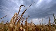 Wetter in Bayern