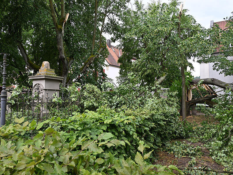 Sturmschäden LaurenziplatzSturmschäden am Laurenziplatz u.a.