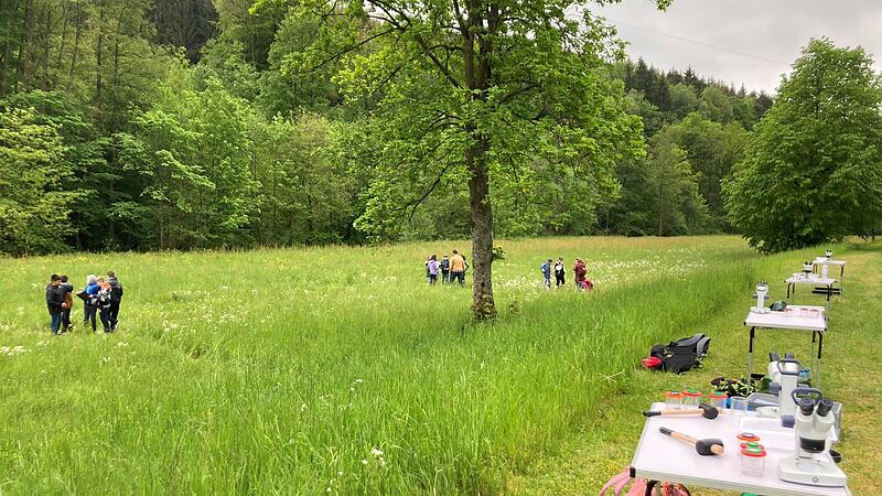 Sch&uuml;ler erforschen im &bdquo;Umweltlabor Wiese&ldquo; das &Ouml;kosystem ihrer heimischen Natur