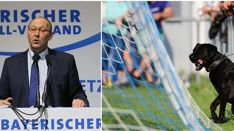 Hunde am Spielfeldrand sind ein gewohntes Bild, die meisten verhalten sich wie dieser (rechtes Bild) komplett friedlich, in Frensdorf kam es aber zum Abbruch eines Kreisligaspiels, der jetzt Kreisspielleiter Manfred Neumeister (linkes Bild) besch&auml;...
