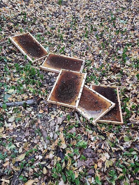 Illegal entsorgte Bienenwaben Fundort bei Nüdlingen