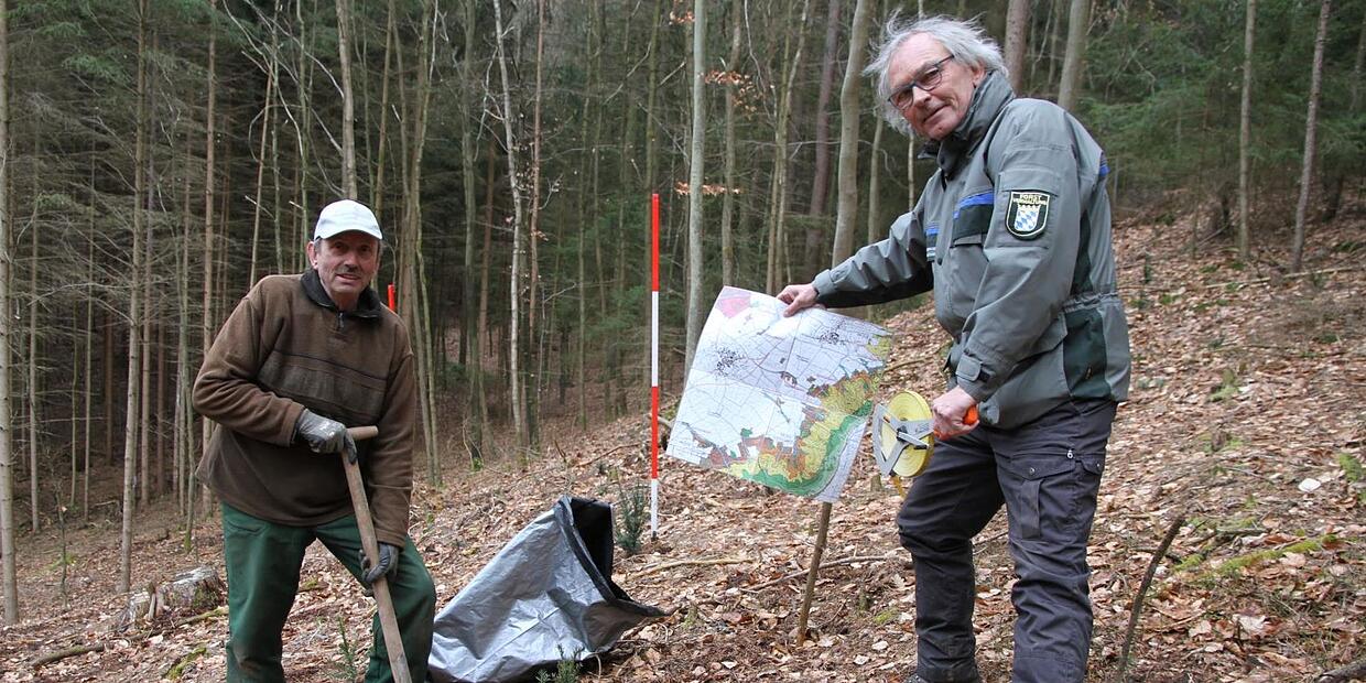 Klimawandel Wie ein Waldbesitzer aus dem Landkreis Forchheim seine