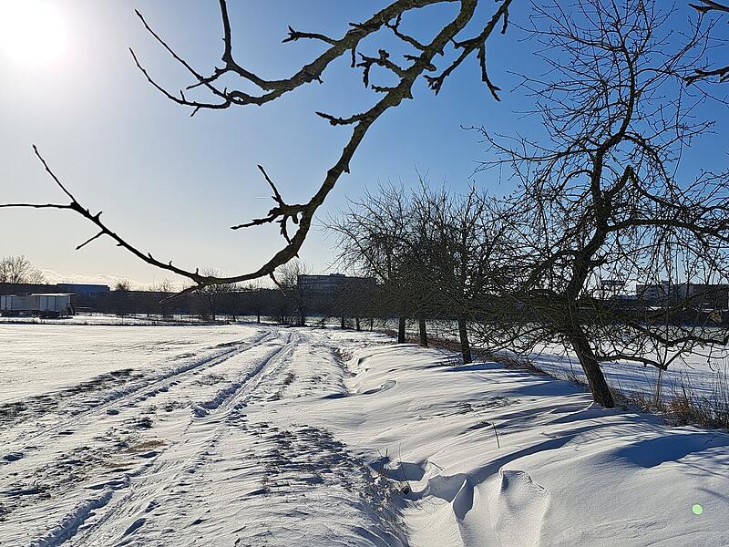 Leserfotos Erlangen-H&ouml;chstadt