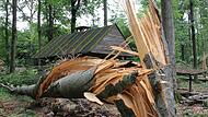 Welch enorme Kräfte der Wind entfesseln kann, zeigt eindrucksvoll dieses Bild, das 2012 nach einem Sturm im Wald bei Bischofsheim entstanden ist.