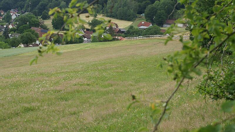 Auf diesem Hang nahe der Rhönautobahn und Römershag könnte bald eine Photovoltaikanlage stehen. Der Stadtrat befürwortete eine entsprechende Bauvoranfrage.