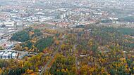 Versiegelte Fl&auml;chen zwischen B&auml;umen: Die Stadt m&ouml;chte die Muna kaufen.
