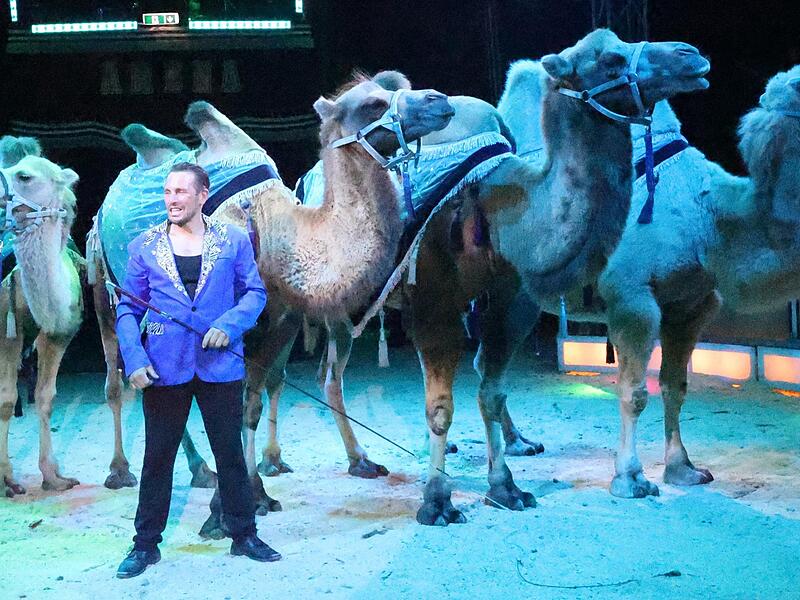 Beeindruckend, wie die Kamele durch die Manege trabten und sich auf Kommando drehten und tanzten. Adam
