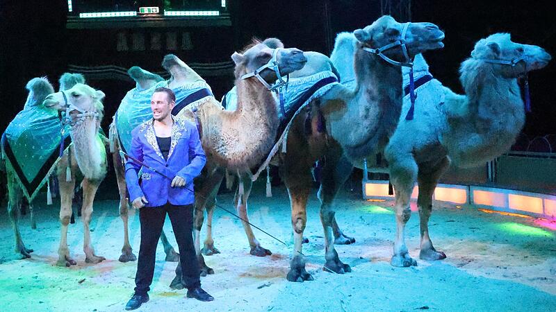 Beeindruckend, wie die Kamele durch die Manege trabten und sich auf Kommando drehten und tanzten. Adam