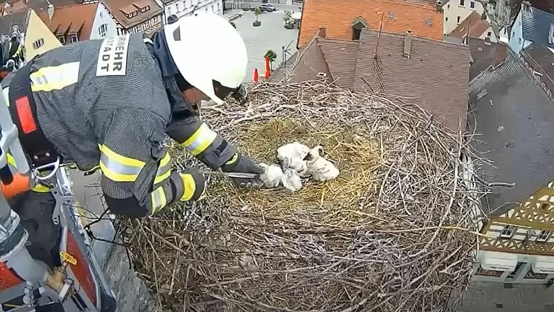 Die Höchstadter Feuerwehr half.