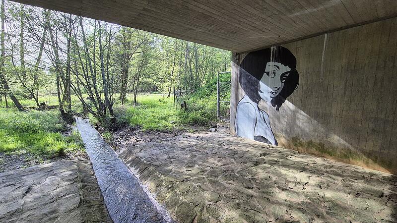 Die geheimnisvolle Schöne im Bamberger Hauptsmoorwald