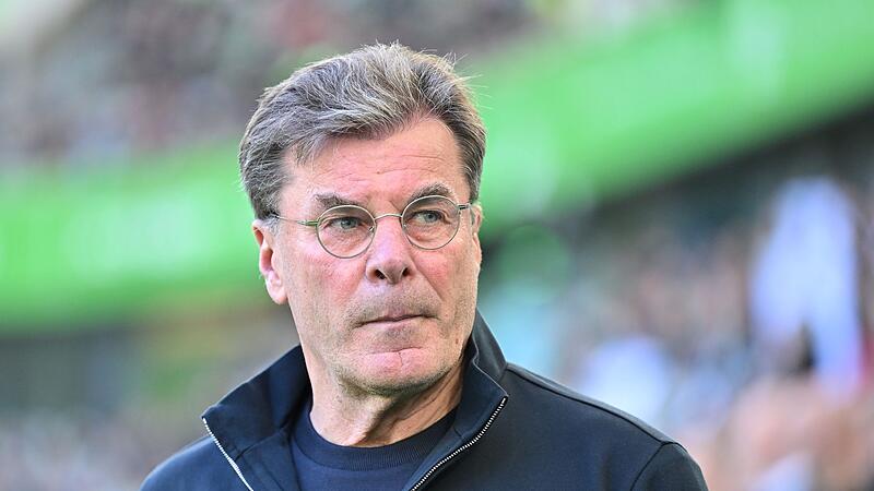 Dieter Hecking vom VfL Wolfsburg