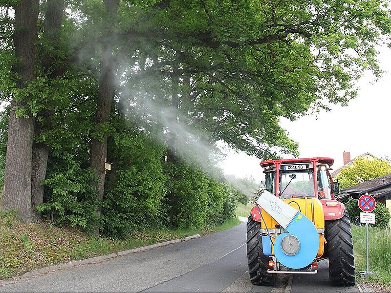 Bek&auml;mpfung Eichenprozessionsspinner in Wellmersdorf und auf dem Sch&uuml;tzenplatz in Neustadt