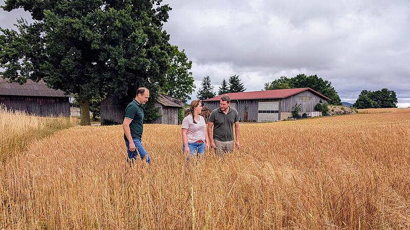 Erntegespr&auml;ch in Tr&uuml;benbach