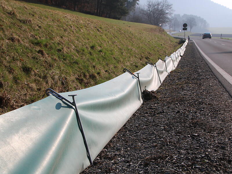 Autos werden nicht nur für die Amphibien - sondern mitunter auch für die Helfer zur Gefahr. Autos werden nicht nur für die Amphibien - sondern mitunter auch für die Helfer zur Gefahr.