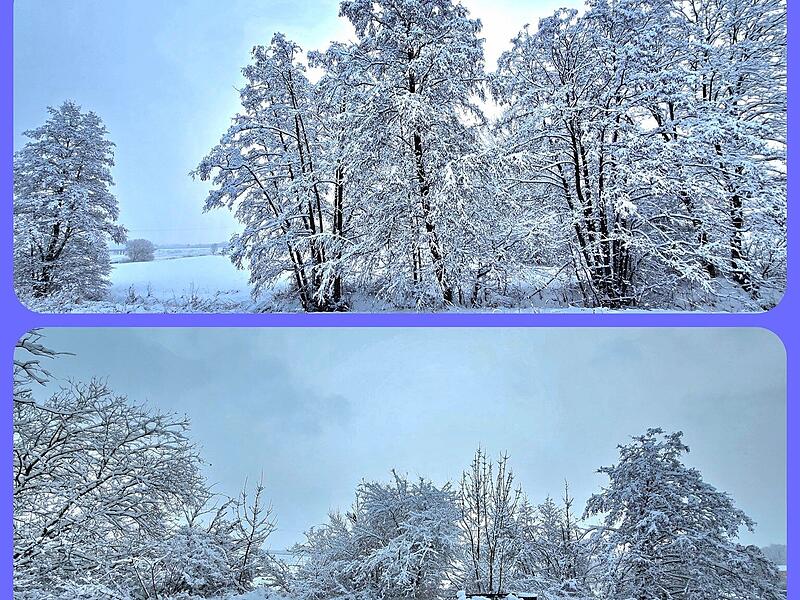 Schnee in Kulmbach: Die sch&ouml;nsten Leserfotos