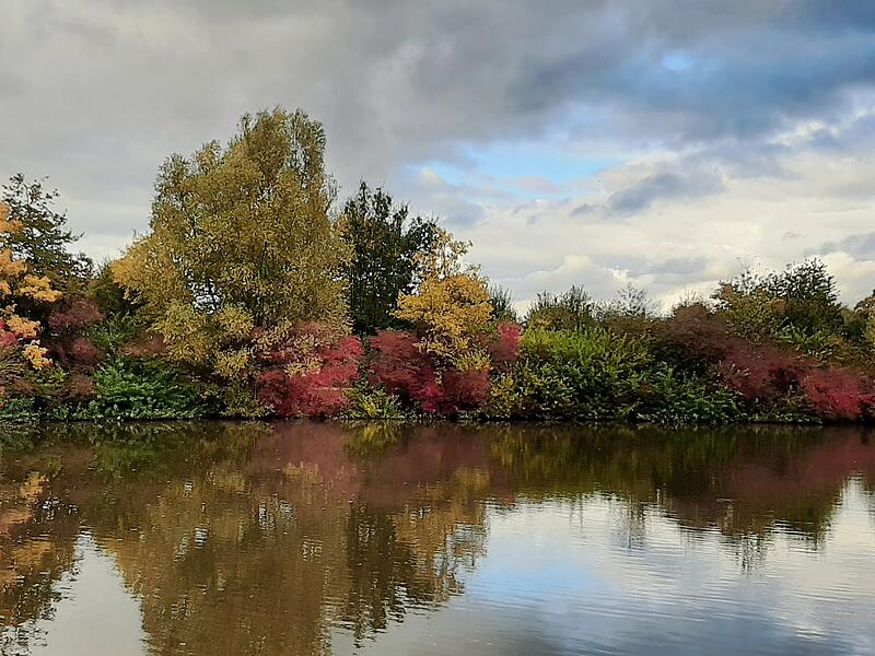 FarbenmeerLeserfotos Herbst FarbenmeerLeserfotos Herbst