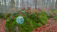 Vogelhaus in Felsengarten Sanspareil