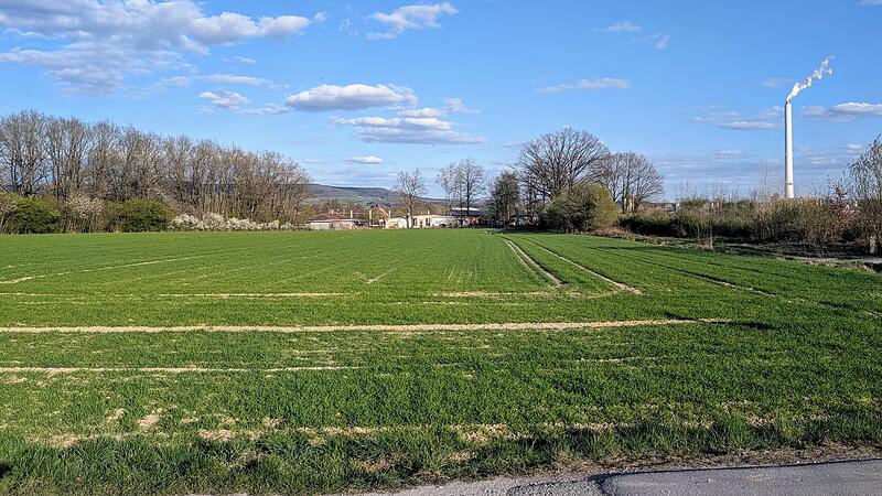 Unter anderem auf dieser Fl&auml;che am Regnitzwehr sollen sich bald Unternehmen niederlassen.Forchheim & Fr&auml;nkische Schweiz
