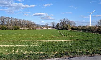 Unter anderem auf dieser Fl&auml;che am Regnitzwehr sollen sich bald Unternehmen niederlassen.Forchheim & Fr&auml;nkische Schweiz